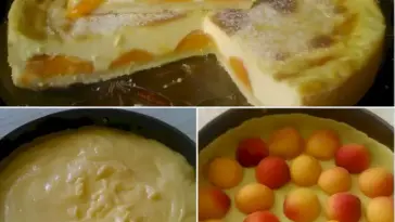 Pfirsichkuchen W2xEX 2.5x png