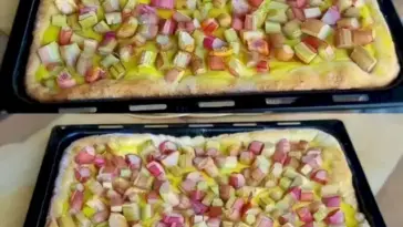 Quark Rhabarberkuchen mit Vanillepudding W2xEX 2.5x webp