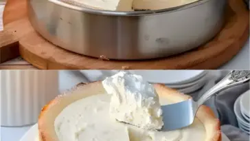 Quarkkuchen ohne Boden in 5 Minuten jedes stueck zerfaellt im Mund W2xEX 2.5x