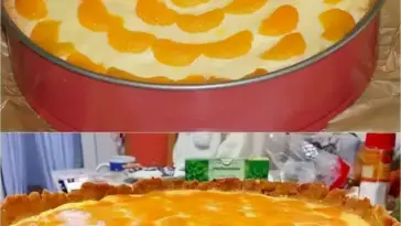 Quarkkuchen ohne Boden W2xEX 2.5x webp