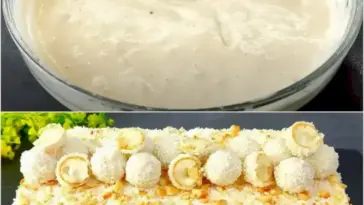 Raffaello Kuchen so saftig und so lecker W2xEX 2.5x webp