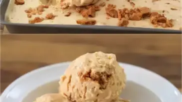 Rezept fuer Lotus Biscoff Eiscreme W2xEX 2.5x webp