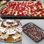 Saftiger Kirsch Blechkuchen W2xEX 2.5x png