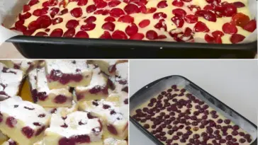 Saftiger Kirsch Blechkuchen W2xEX 2.5x png