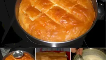 Schneller Griesskuchen W2xEX 2.5x png