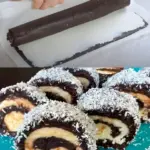 Schoko Kokos Rolle ohne Backen der beste im ganzen Universum W2xEX 2.5x