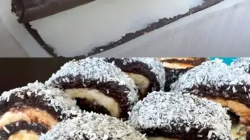 Schoko Kokos Rolle ohne Backen der beste im ganzen Universum W2xEX 2.5x