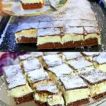 Schokokuchen mit Eierlikoercreme unglaublich einfach W2xEX 2.5x