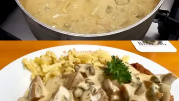 Schwarzwaelder Jaegersauce mit 250 g Champignons in 15 Minuten W2xEX 2.5x