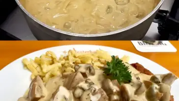 Schwarzwaelder Jaegersauce mit Champignons in 15 Minuten gemacht W2xEX 2.5x Q99