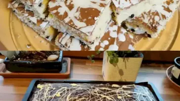 Selterskuchen in 2 Minuten zubereitet ein Tassenrezept W2xEX 2.5x webp