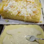 Streuselkuchen mit 2 Packung Vanillepudding und 40 Minuten Backzeit W2xEX 2.5x Q99