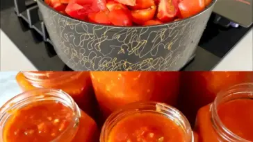 Tomatensauce mit 250ml Essig die mache ich jedes Jahr W2xEX 2.5x