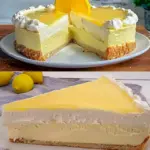 Zitronen Joghurt Torte mit 300 g Quark und 650 g Joghurt W2xEX 2.5x Q99