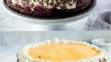 eierlikortorte W2xEX 2.5x webp