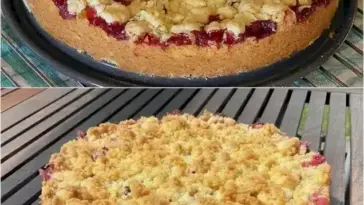 pflaumenkuchen mit streuseln W2xEX 2.5x webp
