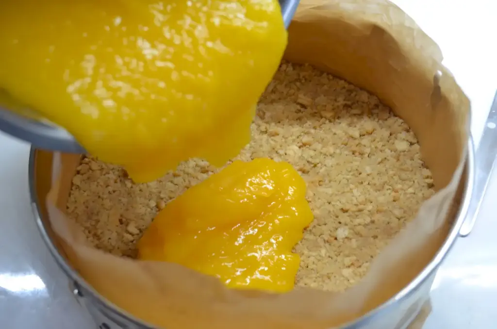Aprikosen-Joghurt-Torte OHNE BACKEN 2 Aprikosen Joghurt Torte OHNE BACKEN1 W2xEX 2.5x