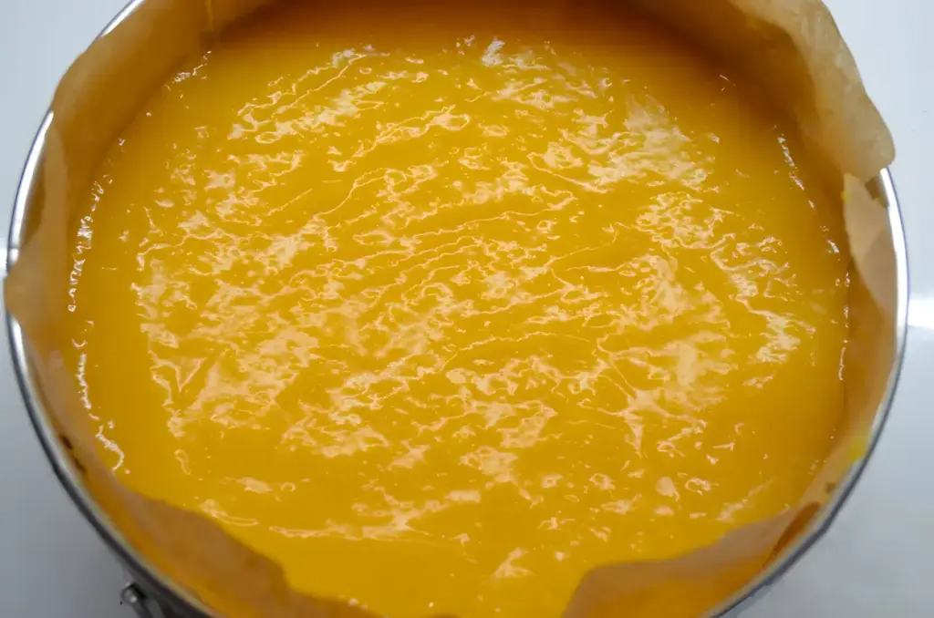 Aprikosen-Joghurt-Torte OHNE BACKEN 3 Aprikosen Joghurt Torte OHNE BACKEN2 W2xEX 2.5x