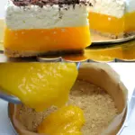 Aprikosen-Joghurt-Torte OHNE BACKEN