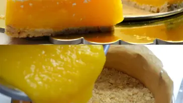 Aprikosen-Joghurt-Torte OHNE BACKEN