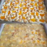 Die perfekte kalte Torte mit Quark-Sahne-Creme, Mandarinen und Puddingguss