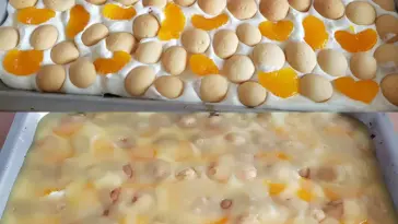 Die perfekte kalte Torte mit Quark-Sahne-Creme, Mandarinen und Puddingguss