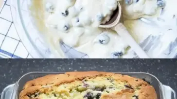 Italienischer Joghurtkuchen mit Heidelbeeren in wenigen Minuten W2xEX 2.5x Q99