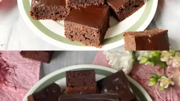 Kakao-Pflaumenmus-Kuchen ohne Ei und Milch
