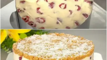 Kuchen, der auf der Zunge zergeht! Der berühmte Kuchen, der die Welt verrückt macht! OHNE OFEN