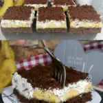 Maulwurfkuchen vom Blech ein Tassenrezept W2xEX 2.5x Q99