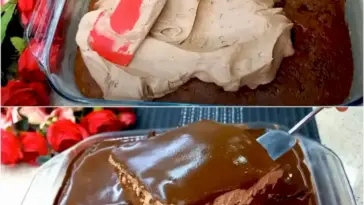 Mein Mann bittet mich, dieses Dessert dreimal pro Woche zuzubereiten! Schoko-Biscuit Kuchen