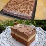 Nutellaschnitte W2xEX 2.5x webp