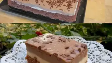 Nutellaschnitte W2xEX 2.5x webp