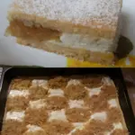 Quark Apfelkuchen mit Gitter FOTOANLEITUNG XL