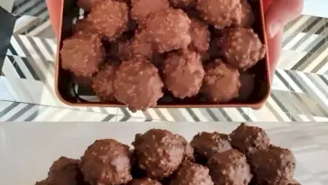 Rocher Kugeln W2xEX 2.5x