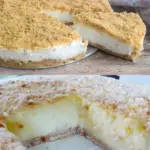 Schneller 15 Minuten Kuchen ohne backen!