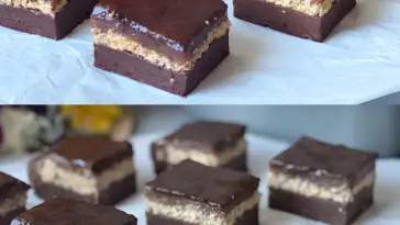 Schokoladen Pflaumen Kuchen aus Kompott ohne Eier und Milch XL