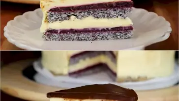 Unwiderstehliche Mohntorte mit Obst W2xEX 2.5x Q99