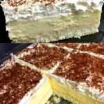 Vanillecreme Kuchen mit nur 2 Packung Puddingpulver ohne Backen W2xEX 2.5x