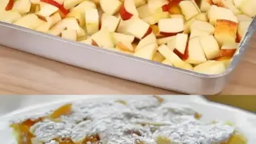 Apfelkuchen mit Vanillepudding in 10 Minuten im Ofen