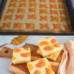 Käse Mandarinen Blechkuchen