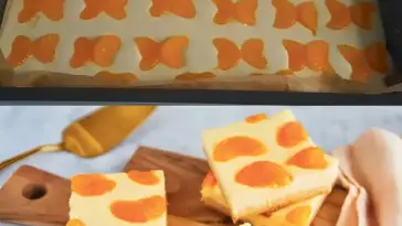Käse Mandarinen Blechkuchen