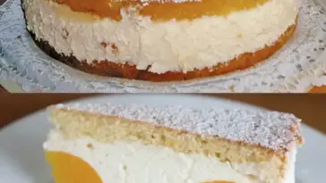 Kaesesahne Torte in 5 Minuten ein Tassenrezept W2xEX 2.5x Q99