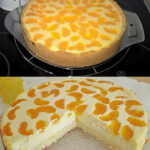 Lecker ohne Ende Quarkkuchen mit Vanillepudding W2xEX 2.5x Q99
