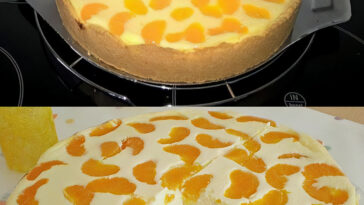 Lecker ohne Ende Quarkkuchen mit Vanillepudding W2xEX 2.5x Q99