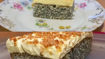 MOHNKUCHEN OHNE BODEN MIT PARADIESCREME UND HASELNUSSKROKANT W2xEX 2.5x