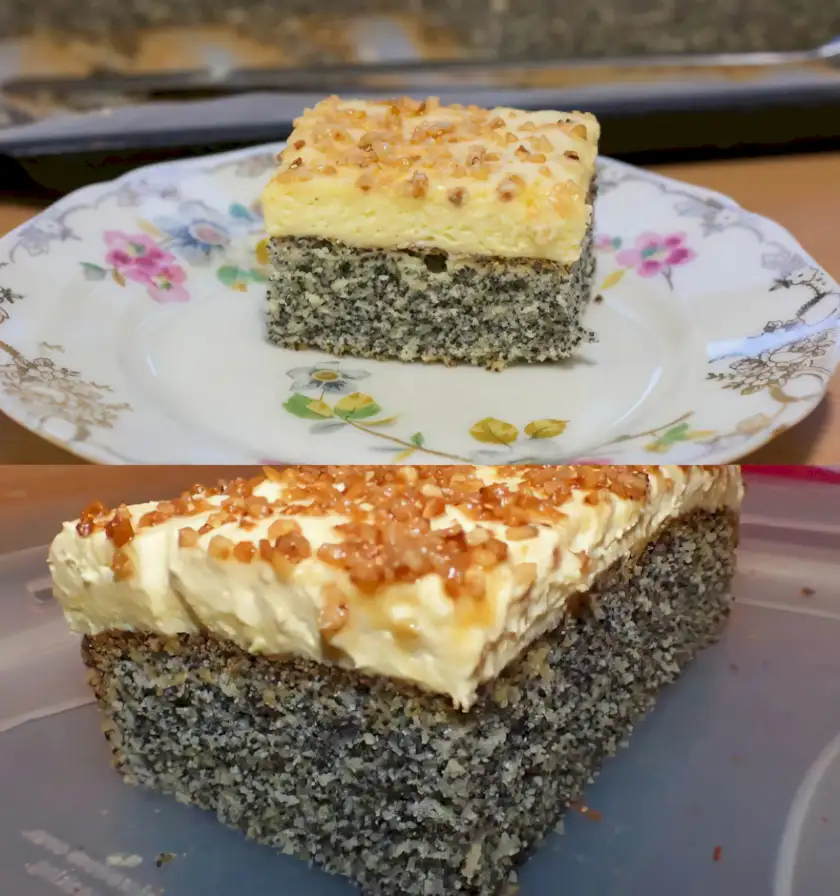MOHNKUCHEN OHNE BODEN MIT PARADIESCREME UND HASELNUSSKROKANT