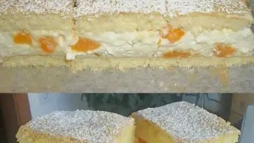 Mandarinen-Quark-Schnitten auf einem Biskuitboden mit Mandarinen und cremigem Quark