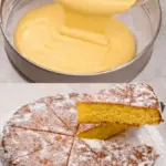 Orangenkuchen mit Kokos das duftende und sehr weiche Dessert W2xEX 2.5x png