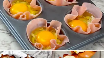 Schinken und Eierbecher das schnelle und leckere Vorspeisenrezept das Sie lieben werden W2xEX 2.5x